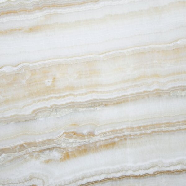 Ivory Onyx