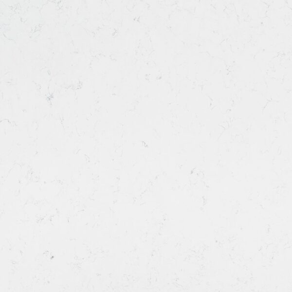 OPQ 9043 Carrara Morren (MSI Morro)