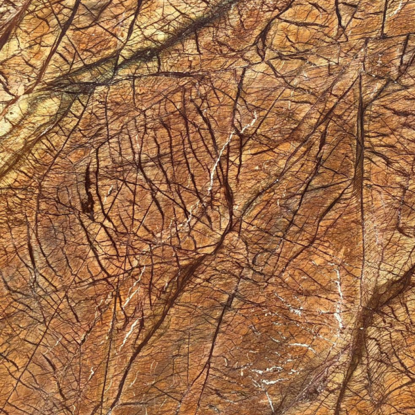 Rainforest Brown