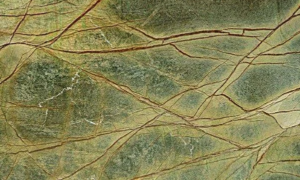 Rainforest Green