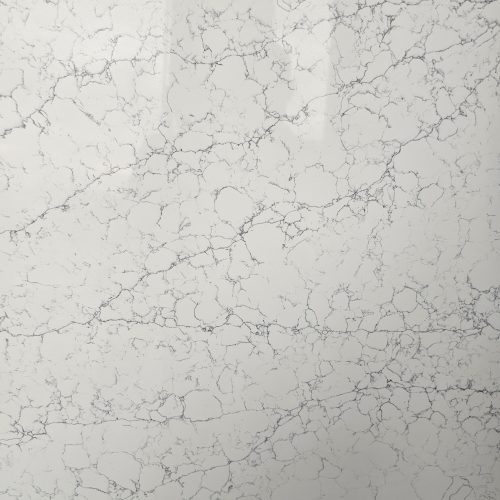 OPS 1646 Ivory Nexus