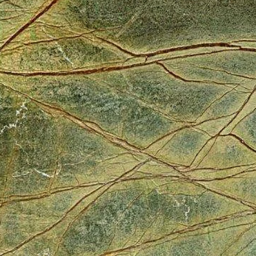 Rainforest Green