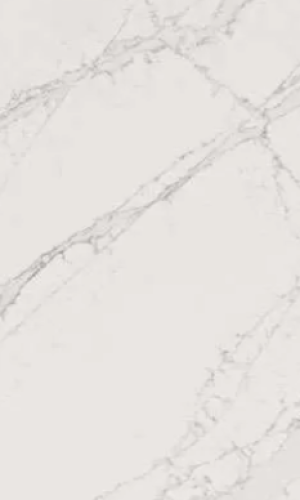 imgi_13_Leonardo