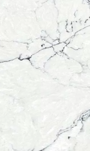 imgi_16_Michelangelo