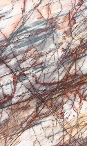 imgi_6_Cosmopolitian-1