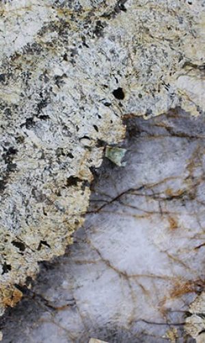 imgi_9_CHAMPAGNE-CRYSTAL